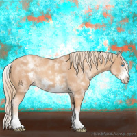 Horse Color:White Spotted Gold Champagne Sabino Splash Frame 