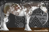 Horse Color:Brown Sabino 