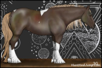 Horse Color:Liver Chestnut Sabino Tobiano 