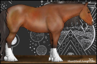 Horse Color:Brown Sabino Rabicano 