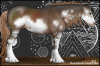 Horse Color:Liver Chestnut Sabino Frame 