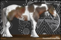 Horse Color:Liver Chestnut Sabino Tobiano 