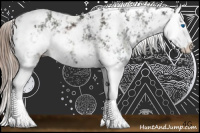 Horse Color:Liver Chestnut Sabino Splash 