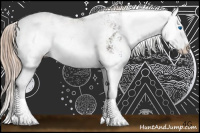 Horse Color:Liver Chestnut Sabino Splash 