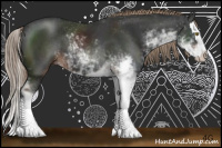 Horse Color:Liver Chestnut Sabino Splash 