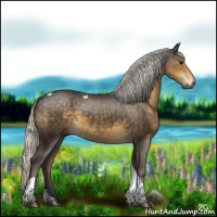 Horse Color:Silver Smoky Black Tobiano 
