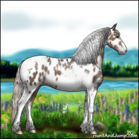 Horse Color:Silver Black Tobiano Frame Appaloosa 