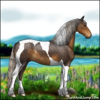 Horse Color:Silver Smoky Black Tobiano 