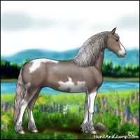Horse Color:Silver Black Tobiano Frame 