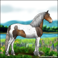 Horse Color:Silver Smoky Black Tobiano 