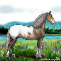 Horse Color:Silver Smoky Black Tobiano Appaloosa 