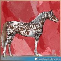 Horse Color:Liver Chestnut Tobiano Snowflake Varnish