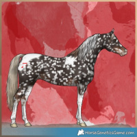 Horse Color:Liver Chestnut Tobiano Snowflake Varnish