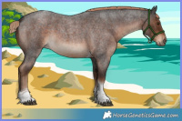 Horse Color:Liver Red Roan Tobiano 