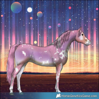 Horse Color:Watercolor White Spotted Bay Onyx