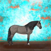 Horse Color:Grullo Sabino 