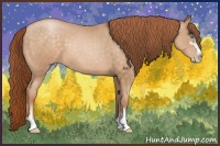 Horse Color:Buckskin Pearl Sabino 