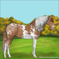 Horse Color:Chestnut Tobiano