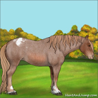 Horse Color:Red Roan Sabino Varnish 