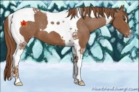 Horse Color:Chestnut Tobiano Varnish 