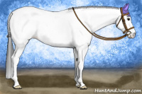 Horse Color:White Spotted Black Splash Tobiano Appaloosa 