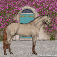 Horse Color:Liver Red Dun Brindle 