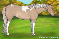 Horse Color:Silver Bay Roan Dun Tobiano Rabicano 