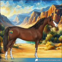 Horse Color:Liver Chestnut 