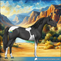 Horse Color:Black Tobiano 