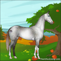 Horse Color:Gray Midnight Sable Champagne Ice Pearl Dun Sabino Tobiano 