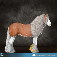 Horse Color:Silver Bay Splash 