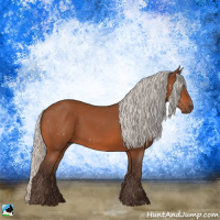 Horse Color:Silver Bay 