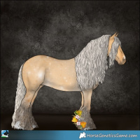 Horse Color:Silver Buckskin Dun 