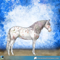 Horse Color:Nacre Silver Bay Ice Onyx Splash Tobiano Appaloosa 
