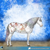 Horse Color:Nacre Red Onyx Ice Tobiano Appaloosa 