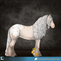 Horse Color:Silver Amber Champagne Appaloosa 