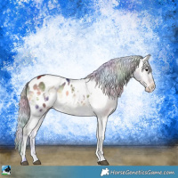 Horse Color:Nacre Silver Brown Ice Onyx Sabino Appaloosa 