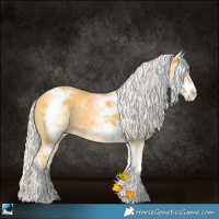 Horse Color:White Spotted Silver Amber Cream Champagne