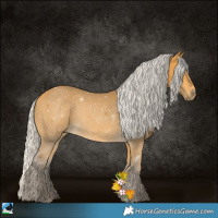 Horse Color:Silver Buckskin 