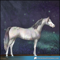 Horse Color:Nacre Liver Red Onyx Sabino Splash Varnish 
