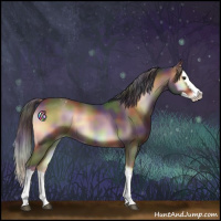 Horse Color:Nacre Liver Red Onyx Sabino Splash Appaloosa