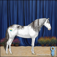 Horse Color:White Spotted Liver Chestnut Rabicano 