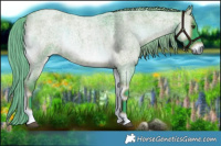 Horse Color:Watercolor White Spotted Liver Red Onyx Roan Rabicano 