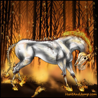 Horse Color:Gray Silver Bay Sabino