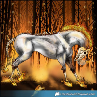 Horse Color:Gray Void Chestnut 