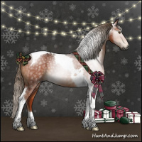 Horse Color:Gray Liver Chestnut Tobiano 