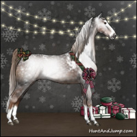 Horse Color:Gray White Spotted Liver Chestnut Splash 