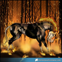 Horse Color:Void White Spotted Liver Red Onyx Splash Tobiano 