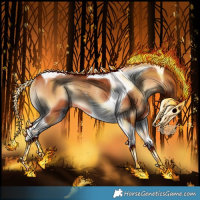 Horse Color:Bay Onyx Tobiano Rabicano