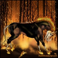 Horse Color:Void Bay Tobiano 